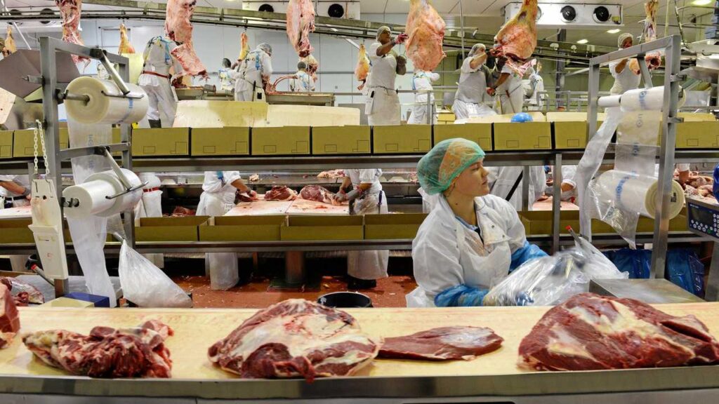 THOMAS BORTHWICK &SONS (AUSTRALIA) PTY LTD5 THOMAS BORTHWICK &SONS (AUSTRALIA) PTY LTD10